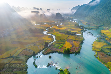 Rice and rice field in Trung Khanh, Cao Bang, Vietnam. Landscape of area Trung Khanh, Cao Bang, Vietnam.