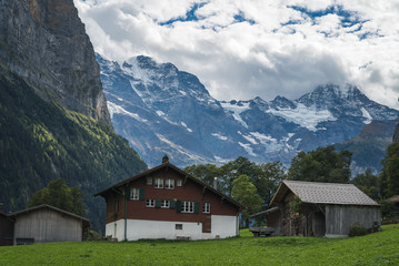 Fototapeta na wymiar An alpine valley with Swiss houses, trees and countryside and the Eiger mountain peaks in the background in Grindelwald Switzerland.
