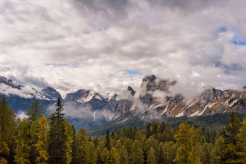 A panoramic view of a valley with autumn color pines trees and The Dolomites mountain range landscape in the background. A scenic view taken from Monte Cristallo near Cortina.