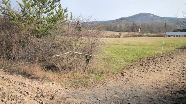 Brown cold-blooded horse, followed by  chestnut thoroughbred, followed by isabella hucul, mottled riding pony and brown hucul chasing them through a corridor between pastures. Dusty path.
