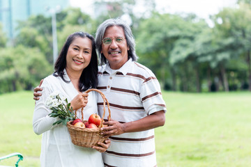 happy asian senior couple holding basket apple and flower picnic in public park.