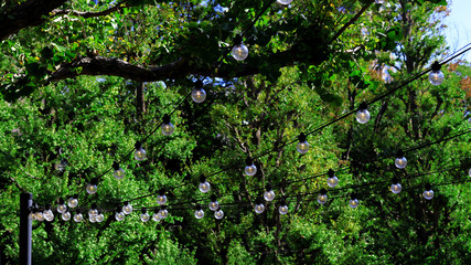 Fototapeta premium Vintage light bulbs hanging on cable decorated for festival in park