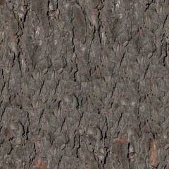 Tree bark seamless texture with detailed wooden pattern macro