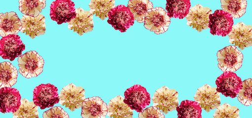Flowers on light blue background 