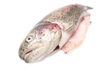Gutted trout fish isolated on a white