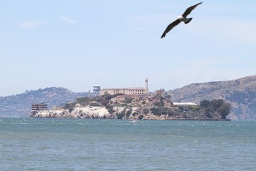 Alcatraz