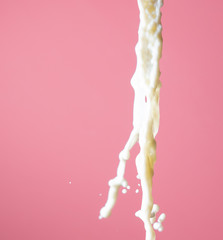 Splashing milk on a pink background.