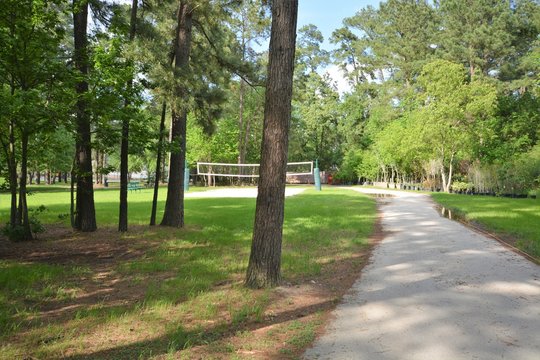 City Park Scenes