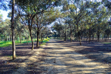 path in the park