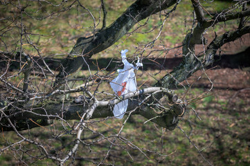 Torn white plastic bag caught in tree branches waving in the wind, Bronx, New York City, NY