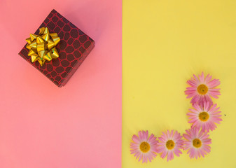 pink chrysanthemum on yellow and red gift pink background