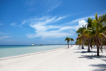 beautiful beach of Cayo Blanco island in Cuba