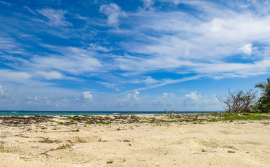 Empty Sandy Beach in Beautiful Puerto Rico