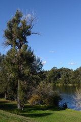 A view of the Nepean River at Penrith in Sydney's west