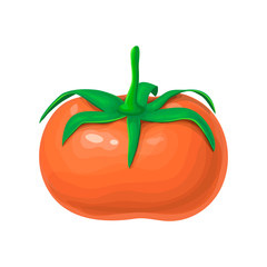 one whole tomato isolated on white background. illustration of big red ripe tomato fruit with green stem. bright fresh realistic vegetable icon. great for logo, label, products package design