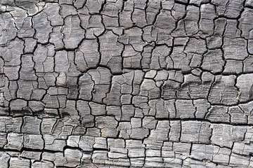 Cracks old wood flooring black for the background