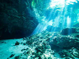 Cenote scuba diving, underwater cave in Mexico