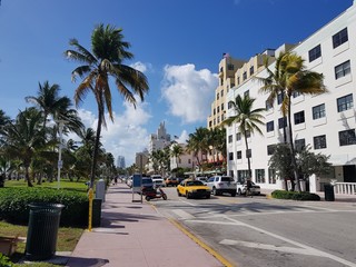 Empty streets of Los Angeles 21.01.2019