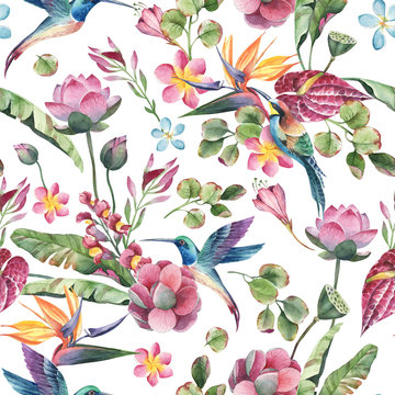Watercolor seamless pattern, tropical birds, colibry with flowers and green leaves, yellow and red tropic flowers on white background.