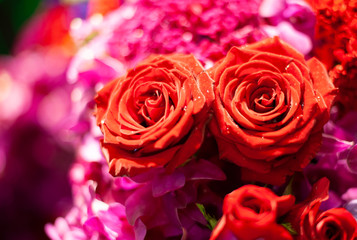 Bouquet of fresh roses, flower bright background.