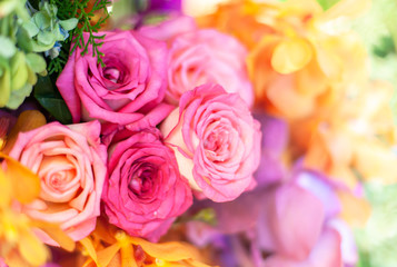 Bouquet of fresh roses, flower bright background.