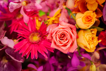 Bouquet of fresh roses, flower bright background.