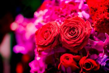 Bouquet of fresh roses, flower bright background.