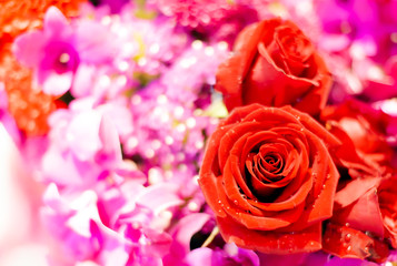 Bouquet of fresh roses, flower bright background.