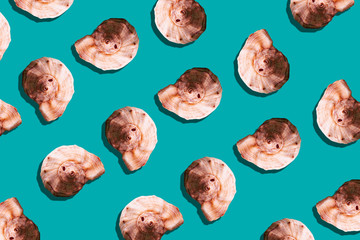 Colorful sea theme pattern with seashells on turquoise background