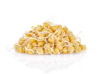 Pea sprouts isolated on white background.