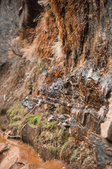 Zion Nationalpark, Utah, USA, overlook trail