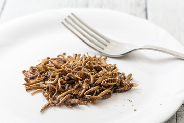 Fried cricket larvae