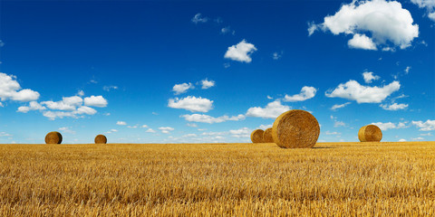 haystack harvested in cereal field 