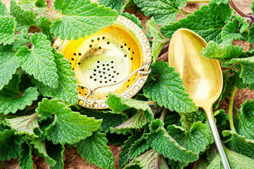 Herbal tea with melissa