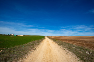 Lamalunga located on the plateau of the Murgia is an area where it was found in a cave l'uomo di Altamura (Altamura man) a fossil of the genus Homo neanderthalensis. Altamura, Apulia (Puglia), Italy