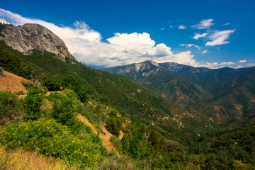 The view of Sequoia National Park, United States
