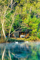 Obraz premium National Kandawgyi Botanical Gardens in Pyin Oo Lwin, Myanmar. The park has been used to promote extensive ecotourism in Myanmar.