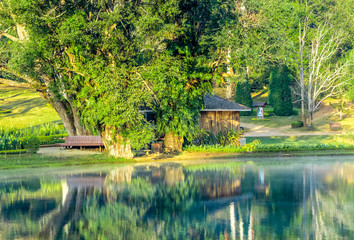 Obraz premium National Kandawgyi Botanical Gardens in Pyin Oo Lwin, Myanmar. The park has been used to promote extensive ecotourism in Myanmar.