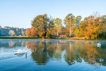 National Kandawgyi Botanical Gardens in Pyin Oo Lwin, Myanmar. The park has been used to promote extensive ecotourism in Myanmar.