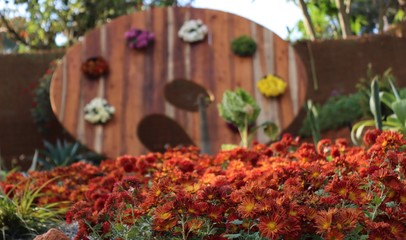 Beautiful flower arrangements in Ambalavayal, wayanad, kerala India