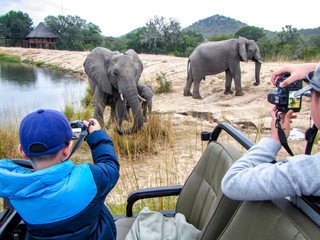 Photographer taking safari pictures in Kruger NP, South Africa © jenhung
