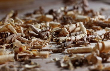 wood shavings on the joiner's table