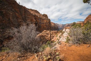 Zion Nationalpark, Utah, USA, overlook trail