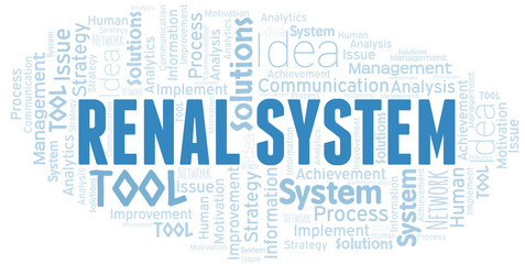 Renal System typography vector word cloud.