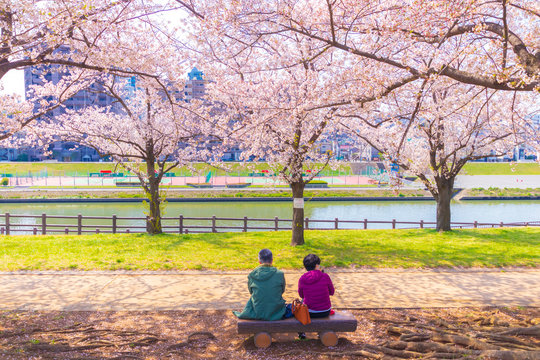 荒川赤羽桜堤緑地 Photos Royalty Free Images Graphics Vectors Videos Adobe Stock 荒川赤羽桜堤緑地 Photos Royalty Free Images Graphics Vectors Videos Adobe Stock