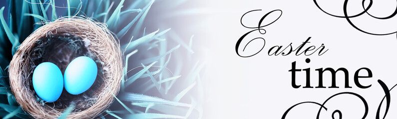 Bird's nest with eggs. Willow branches and first greens. Easter background. Palm Sunday. Christian holiday. Spring background.