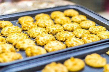 Yellowish cookies just baked and taken out from an oven in a black tray, laid on a table waiting for them to cool down  