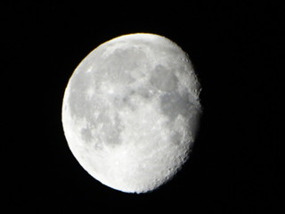 luna © paolo
