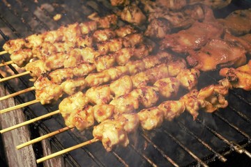grilled meat on the grill