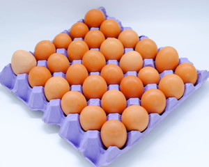 Close-up view of raw chicken eggs on background
